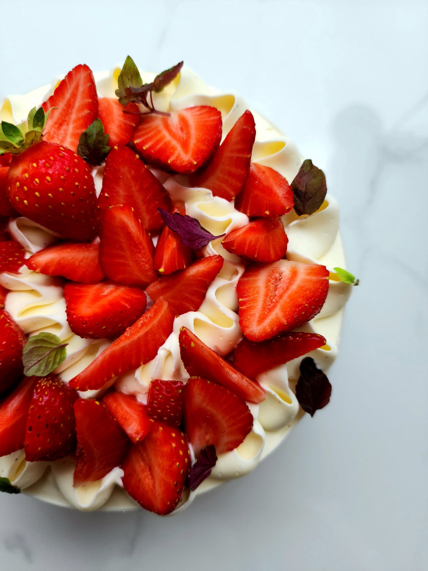 Fraisier / Vanille et mascarpone
