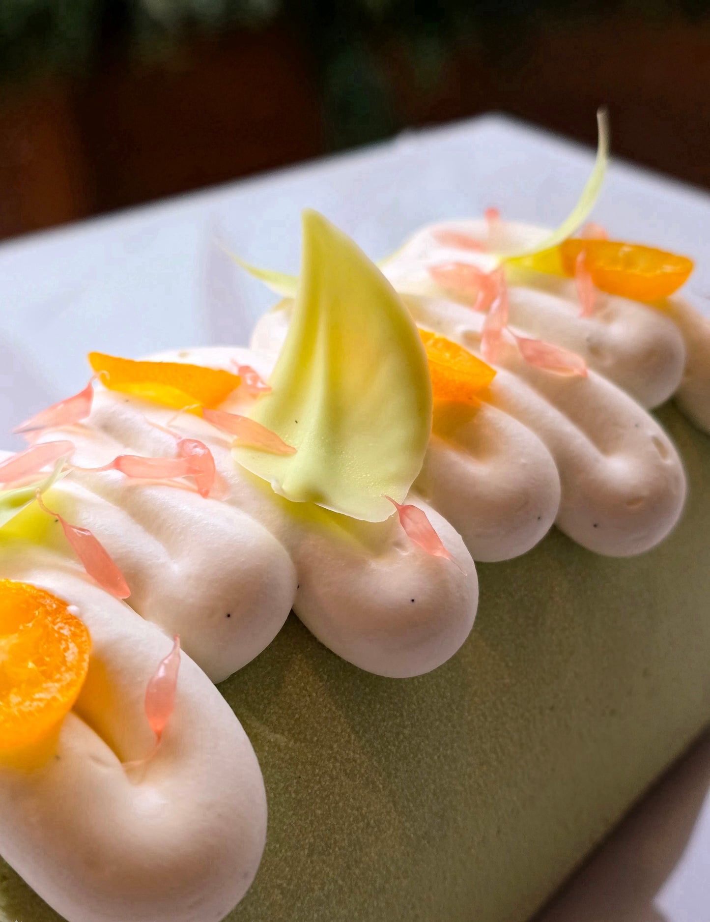 Bûche agrumes et Matcha