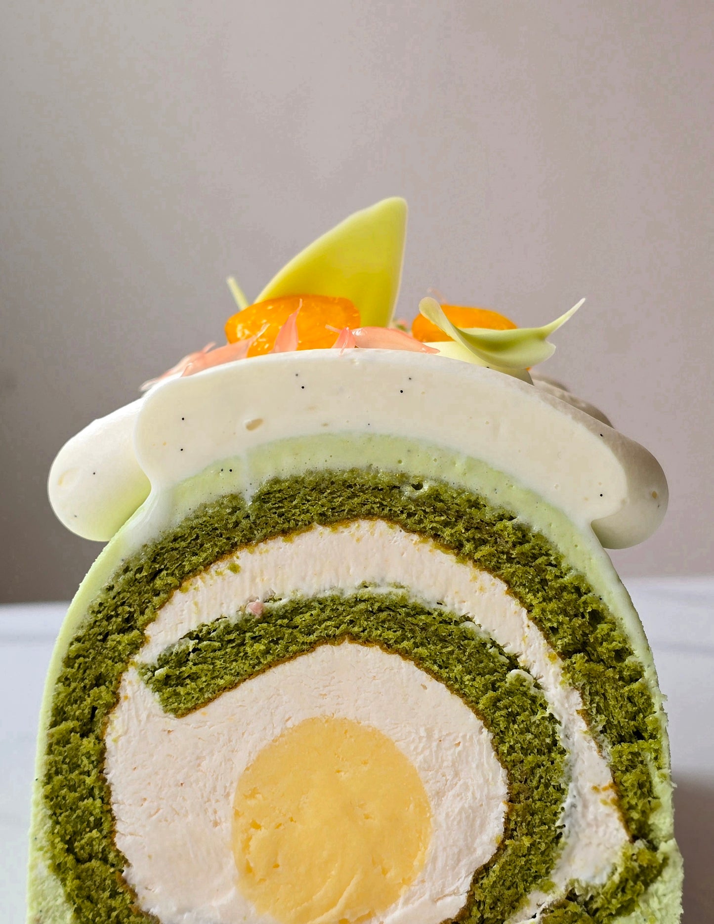 Bûche agrumes et Matcha