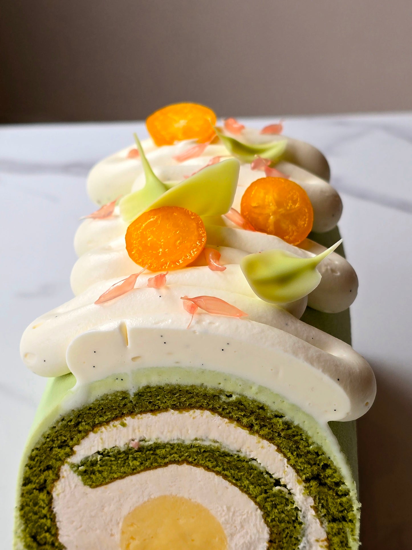 Bûche agrumes et Matcha